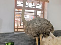 -河北村民俗体验园