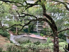 -香港大学