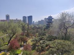 -迎泽公园