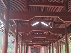 -重庆彩云湖湿地公园