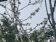 -荔枝公园(福田区)