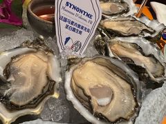 -普朗姆生蚝牛排馆 The Plump Oyster(成都摩方购物中心店)