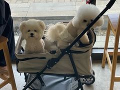 -唐城墙遗址公园