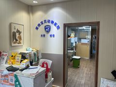 -中农大我爱我爱24h动物医院·中医针灸·猫专科·骨科医疗中心(双井店)