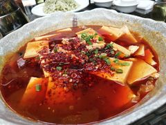 -君临七星生态酒店