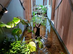 -邈墨茶馆(凤起路店)