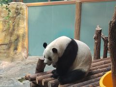 -青藏高原野生动物园