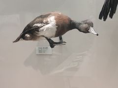 -天津自然博物馆
