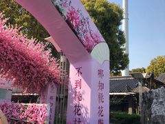 -南汇桃花村