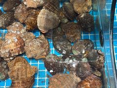 -渔码头食府·20年蓬莱老字号(登州路店)