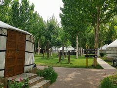 -九十九顶毡房(阜石路店)