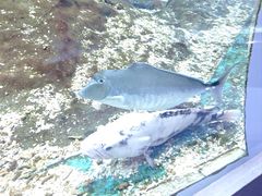 -海合安武汉极地海洋公园