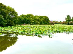 -艾溪湖湿地公园