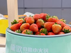 -龍歌自助小火锅(市北台东利群店)