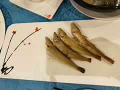 海鲜-御唐府海珊瑚主题餐厅