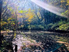 -杭州西湖风景名胜区-满觉陇四眼井