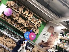 -宜家家居(哈尔滨商场店)