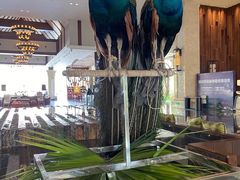 -西双版纳融创皇冠假日度假酒店