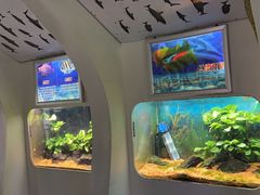-嘉兴海底世界
