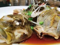 -开海·红岛海鲜虾水饺(石老人店)