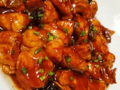 本帮红烧生态鮰鱼-红城阁·上海味道(四平路店)