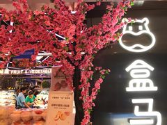 -盒马鲜生(大成店)