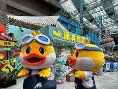 -青岛东方影都融创水世界
