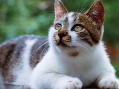 -国家植物园南园