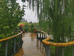 -东郊湿地公园