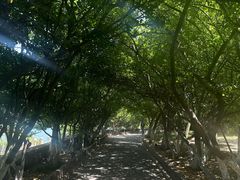 -烟台山景区