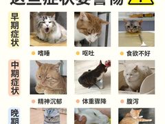 -芭比堂动物医院·CT·微创中心(新顺分院)