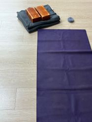 -广州萨谛艾扬格瑜伽中心