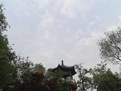-莲花池公园