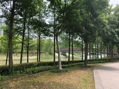 -南翔镇银翔湖公园