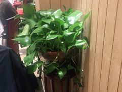 -解家河南菜(商鼎路店)