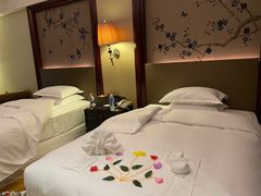-汕头龙光喜来登酒店