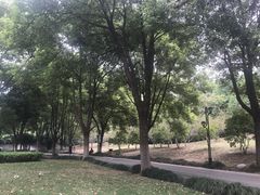 -堤角公园