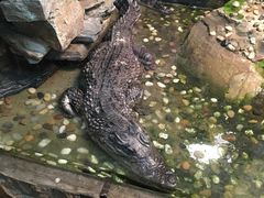 -上海大自然野生昆虫馆