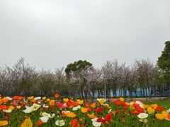 -花博汇(知音花月夜)