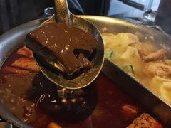-鼎王麻辣锅(七贤店)