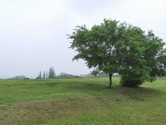 -良渚古城遗址公园