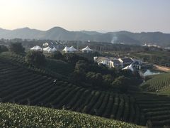 -帐篷客·溪龙茶谷度假酒店