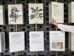 -云溪植物园