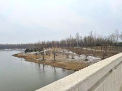 -东郊湿地公园