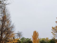 -玲珑塔公园