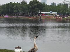 -武汉园博园(武汉自然博物馆)