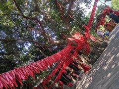 -海南槟榔谷黎苗文化旅游区