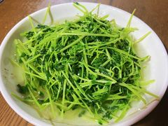 酒香豆苗-沈记菜馆(酒仙桥路店)
