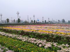 -中国天府农业博览园