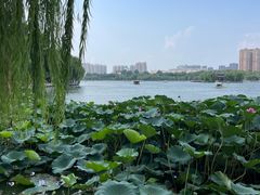 -济南大明湖景区
